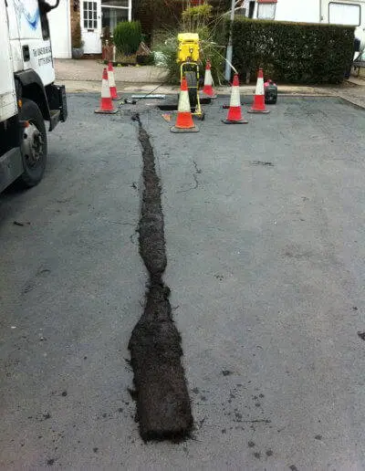 Roots-Removed-2