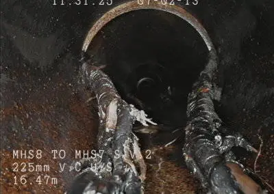 Root-Cutting-1